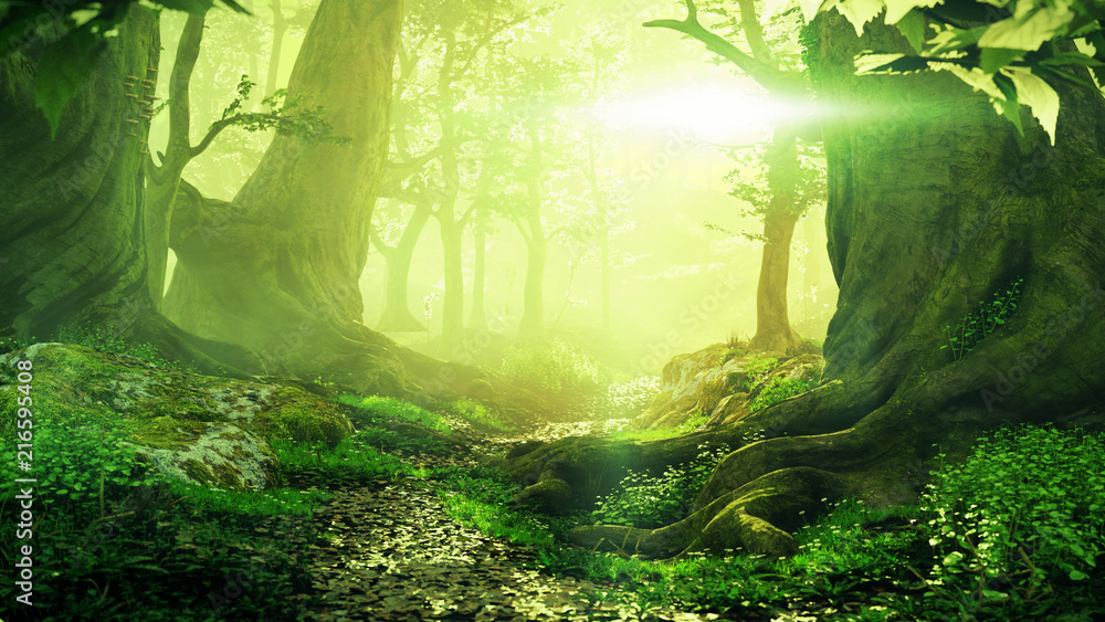 Fototapeta premium ścieżka przez magiczny las o wschodzie słońca, piękny stary krajobraz fantasy drzew