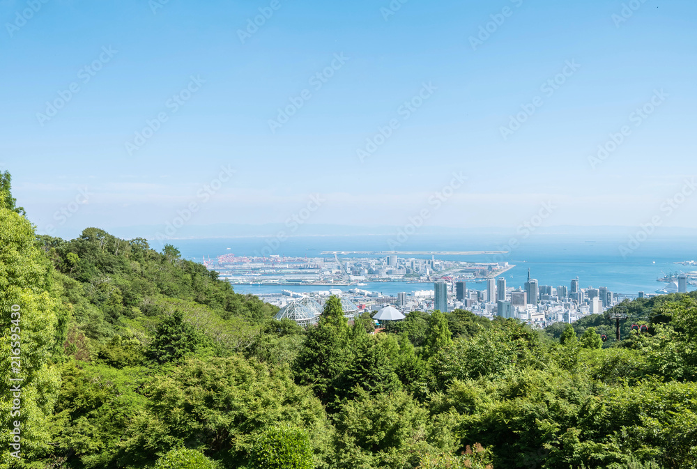 Closeup blue sky with green tree and city view background with copy space