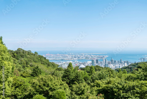 Closeup blue sky with green tree and city view background with copy space