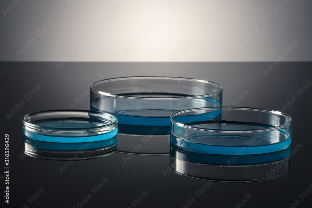 experiment equipment(schele) on the black background. experiment equipment(schele) on the black background.