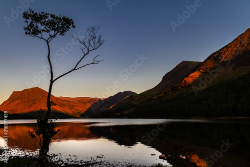 Magnificent sunset on glowing moutains with a mirror lake and a silhouetted birch tree in Buttermere Cumbria, England, U