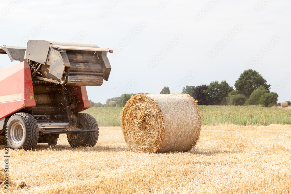 Obraz premium An hay bale