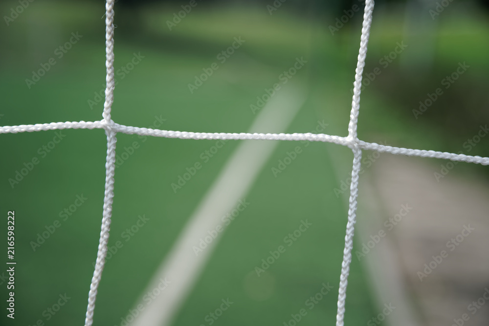 Soccer or football field with white net and square cell. Soccer or football field with white net and square cell.