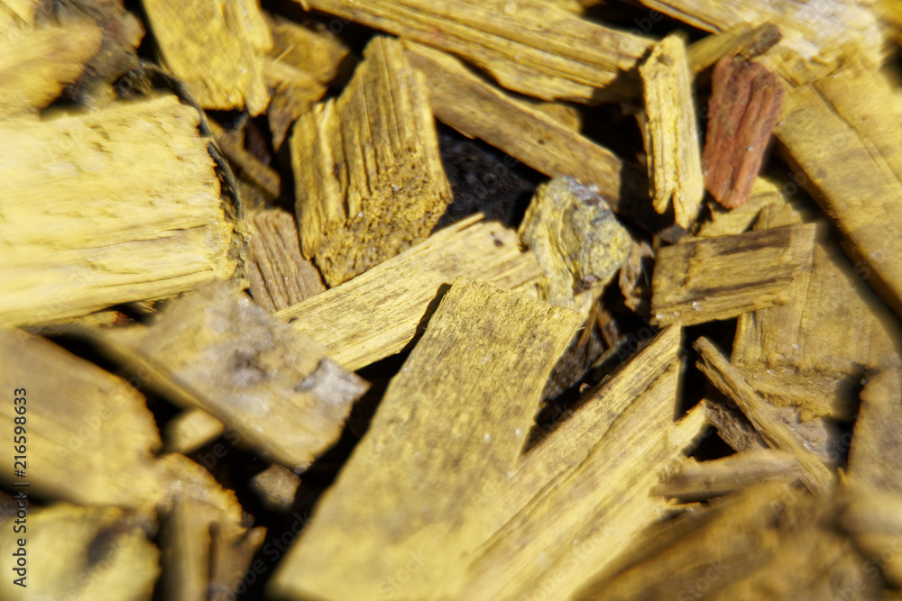 Close-up orange sawdust, wooden texture or background Close-up orange sawdust, wooden texture or background