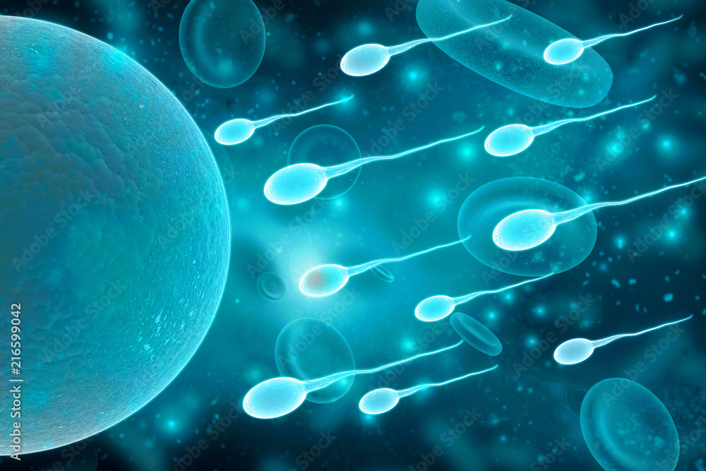 3d illustration showing sperms and egg
3d illustration showing sperms and egg