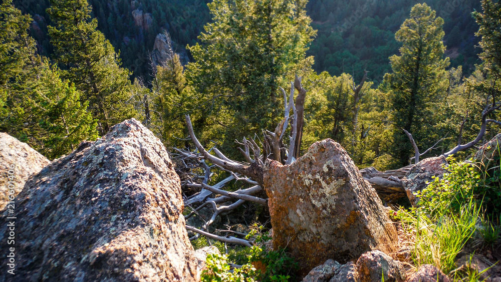 Obraz premium Landscape