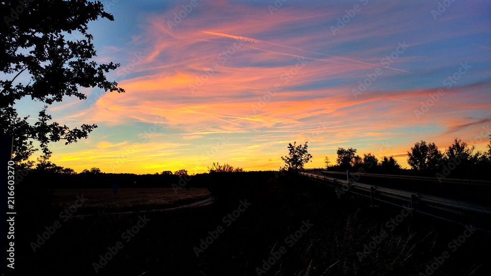 sunrise or sunset bordered by trees sunrise or sunset bordered by trees