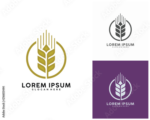 Luxury Grain wheat logo concept, Agriculture wheat Logo Template vector icon