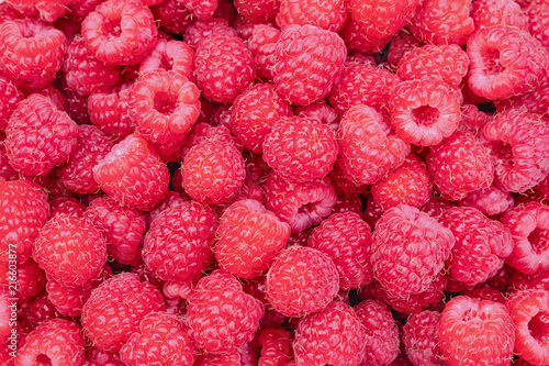 Fresh raspberry berries. Crimson background.