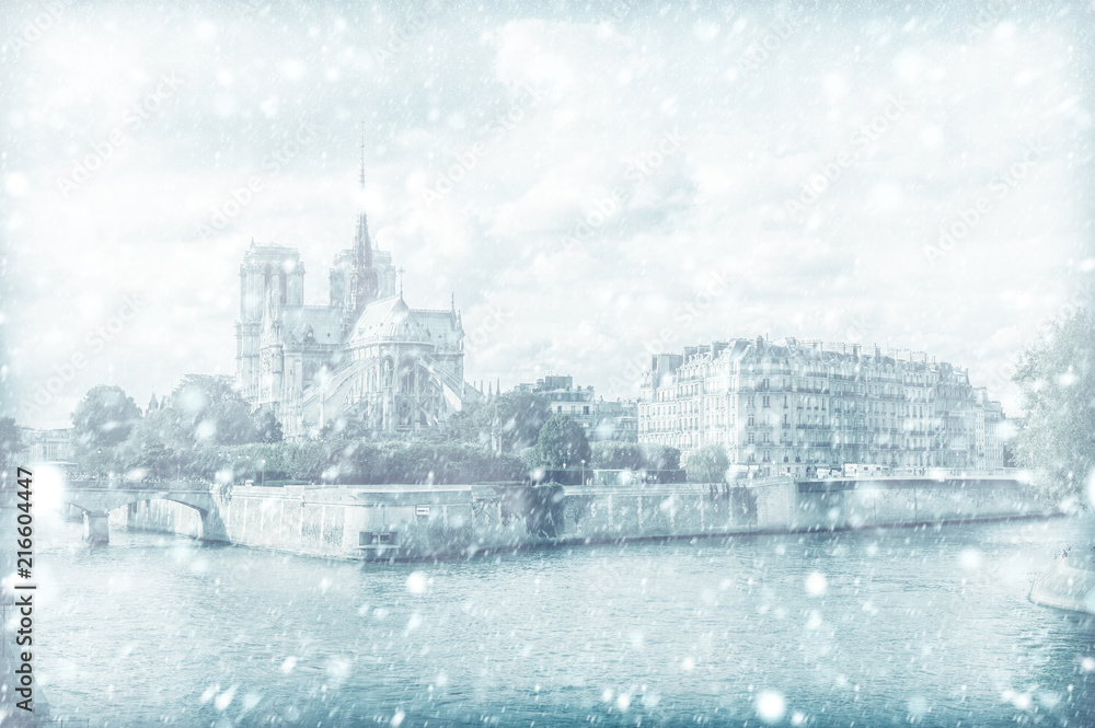 View of Notre Dame de Paris with snow