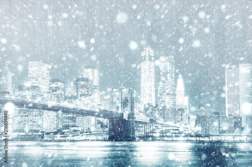 View of New york skyline with snow