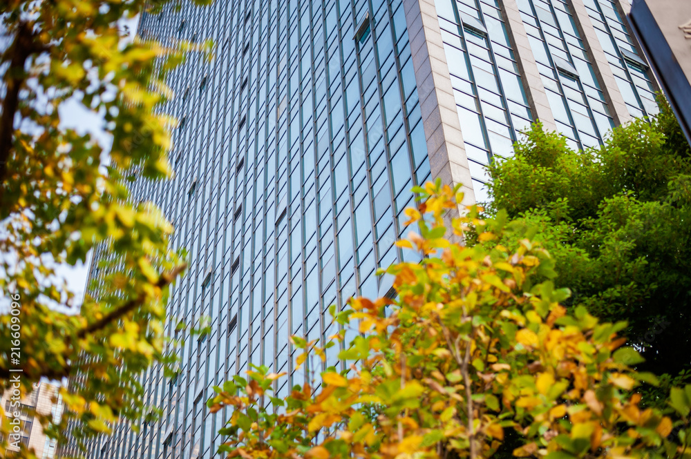 Skyscrapers from a low angle view with trees Skyscrapers from a low angle view with trees