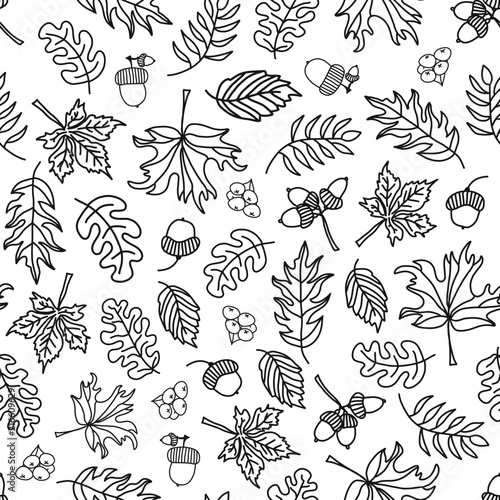 Seamless vector doodle leaves background. Black leaves on a white background. Acorn, oak tree, maple tree pattern. Monochrome doodle leaf print. Fall background, Thanksgiving, Seasonal print, November
