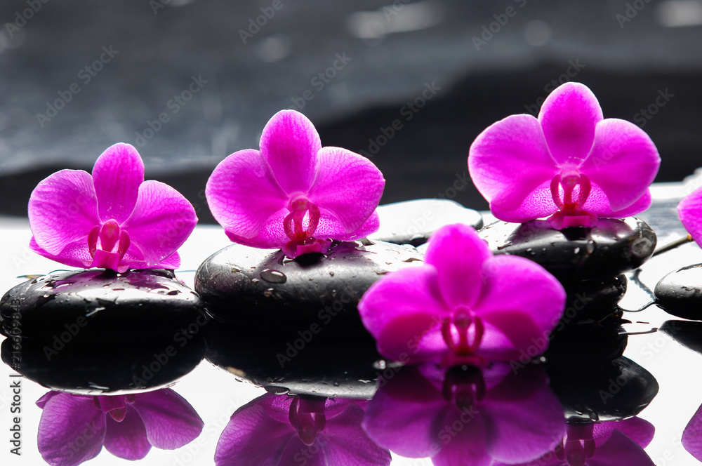 Fototapeta premium martwa natura z czerwoną orchideą na czarnych kamieniach