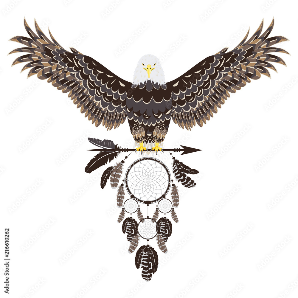 Fototapeta premium Bald eagle with dreamcatcher