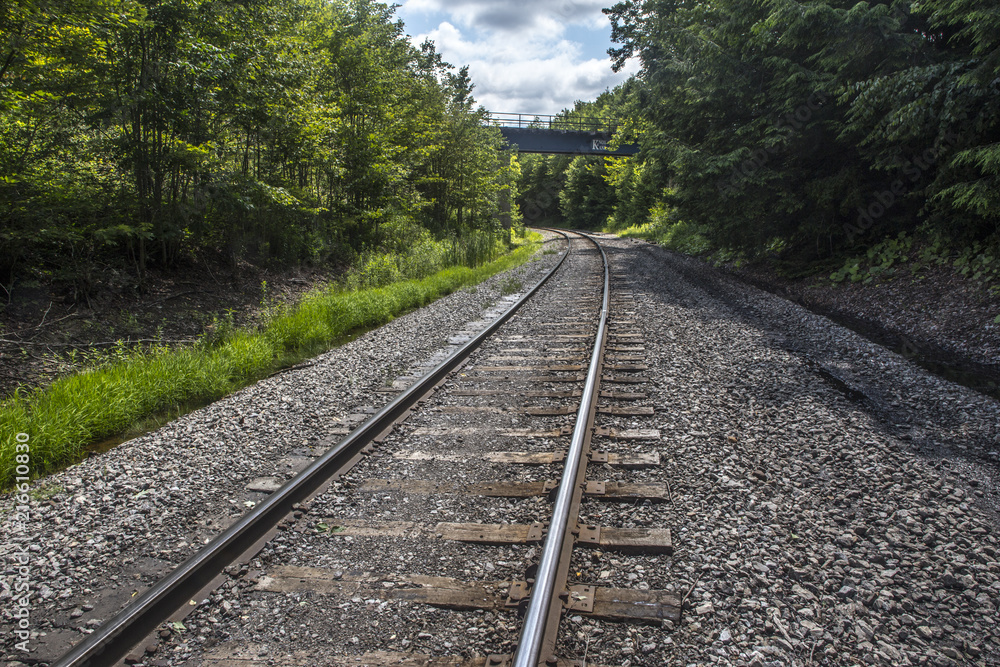 Railroad curves around path through thick trees inside Pennsylvania Railroad curves around path through thick trees inside Pennsylvania