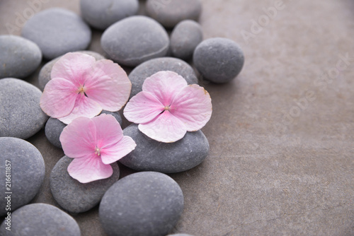 Three Pink hydrangea petals with pile of gray stones on gray background