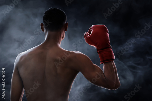 Strong muscular boxer © fotokitas