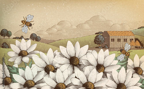 Engraved countryside scenery