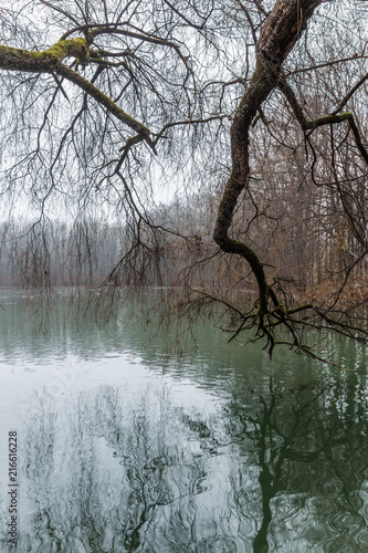 Stempflesee im Siebentischwald in Augsburg, Bayern, Deutschland photo