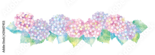 あじさいのイラスト