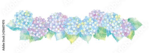 あじさいのイラスト
