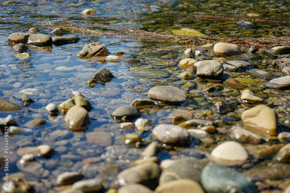 stones in river with clear water