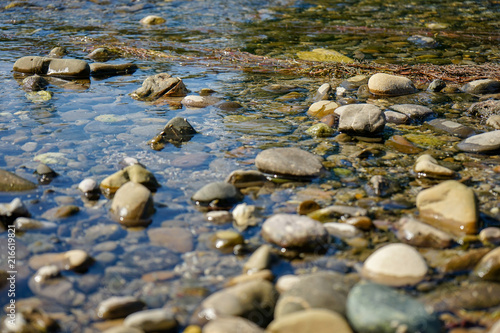 stones in river with clear water