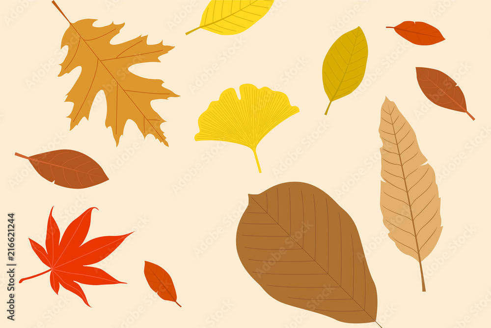 Fototapeta premium Autumn leaves illustration.