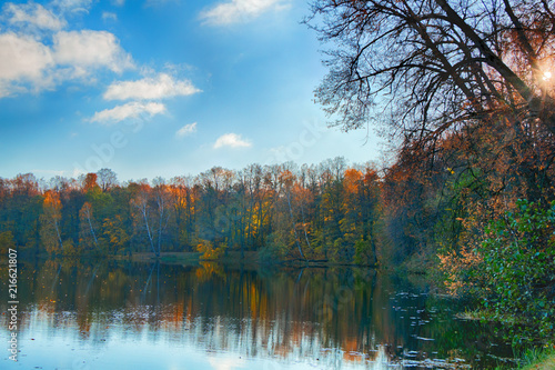 Beautiful landscape. Autumn forest and lake