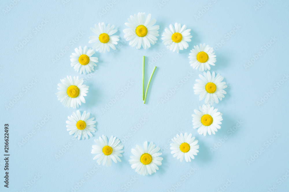 Flower clock created from fresh, beautiful white daisies on pastel blue