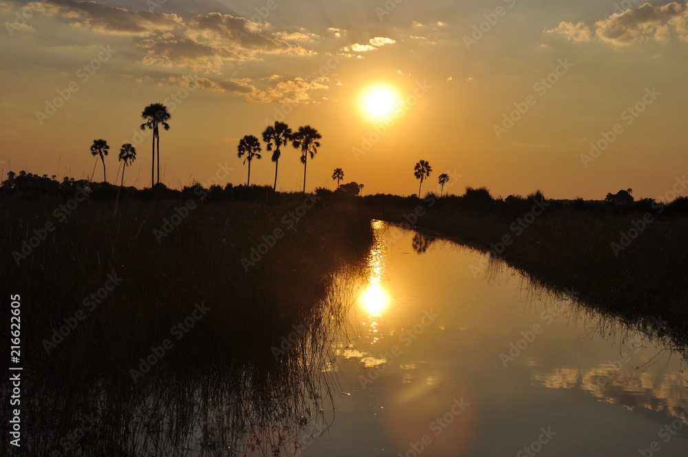 Beautifull sunset in the wilderness of the Okavango-Delta swamps in the middle of the Kalahari-desert