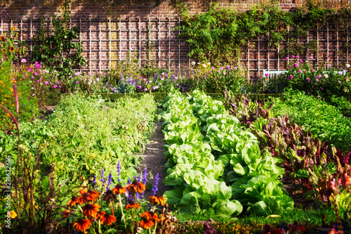 Vegetable garden