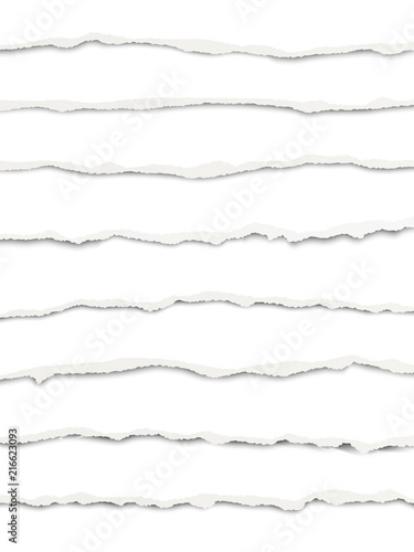 Oblong torn white paper fragments placed one under another with soft shadow. Vector paper template.