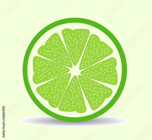vector citrus slices illustration