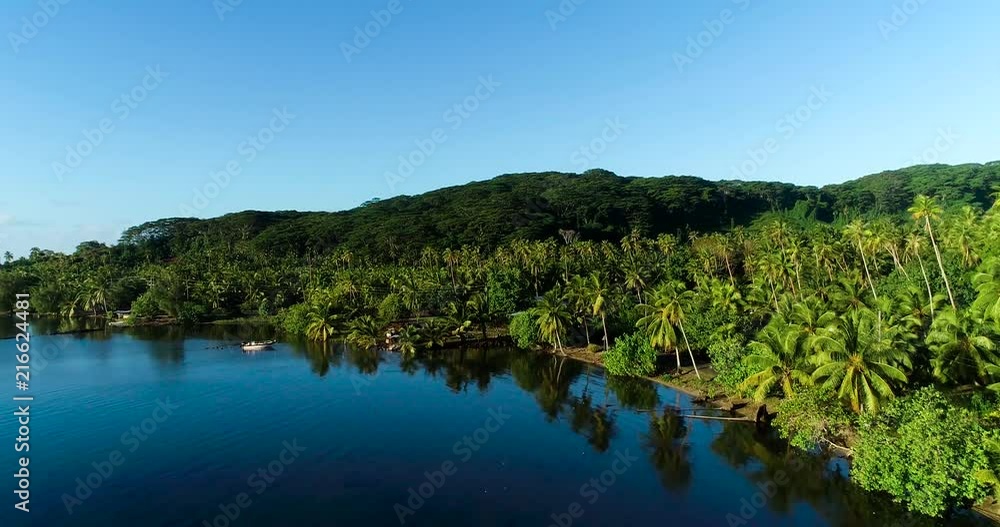 fishing boat in a tropical landscape, French Polynesia fishing boat in a tropical landscape, French Polynesia