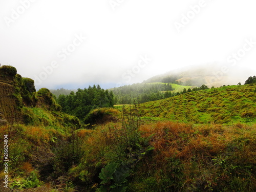 Paysage dans la brume