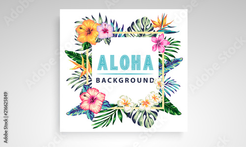 tropical collection with exotic flowers and leaves vector design isolated elements on the white, stock vector tropical a covers hawaiian exotics backgrounds palm leaves with frames use for invitation  photo