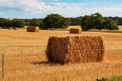 big straw ball on the ground in the summer