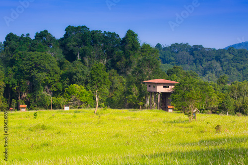 Nong Pak Chi observation tower, Khao Yai National Park, Thailand.