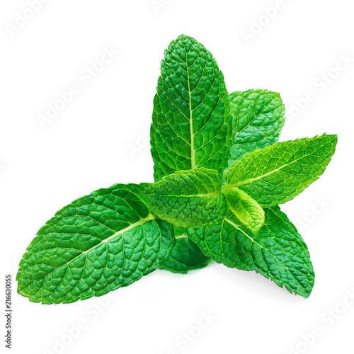 Fresh raw mint leaf isolated on white background. Spearmint leaves, peppermint macro.