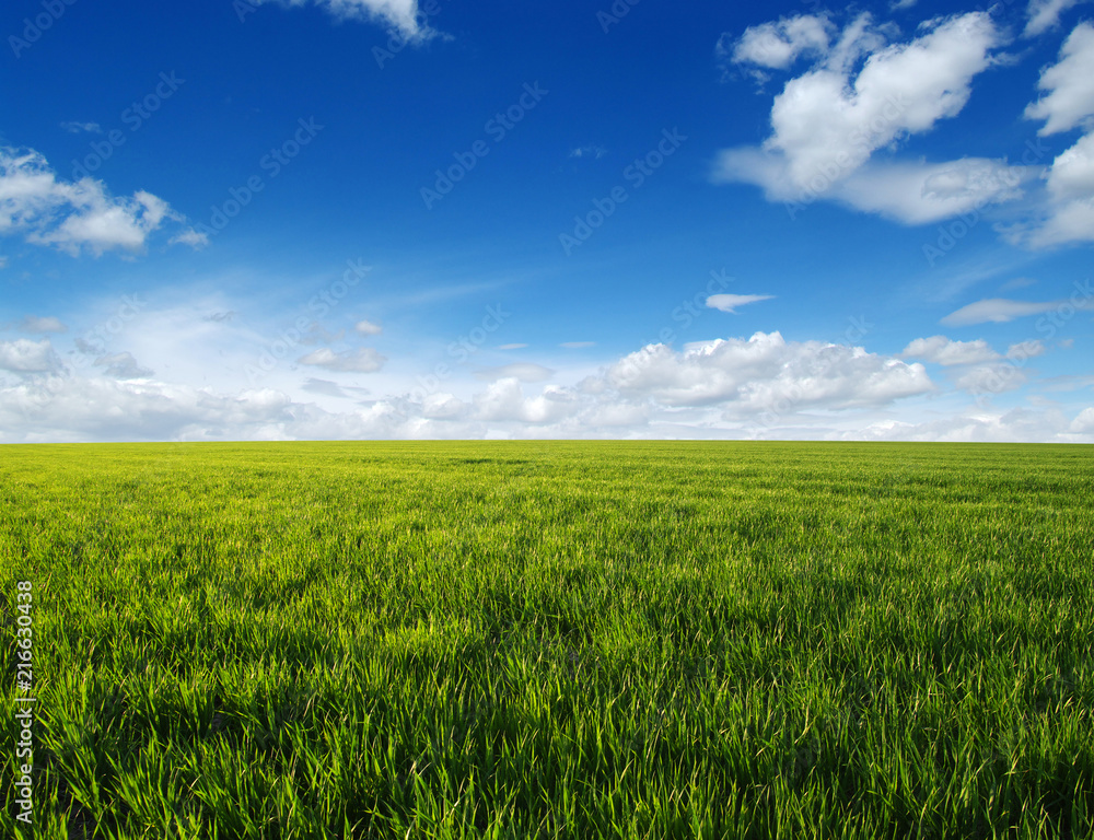 green field and clouds