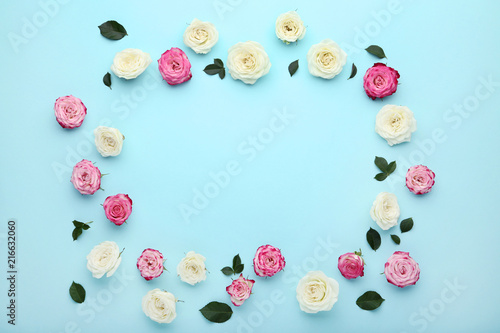 Pink and white rose flowers on blue background