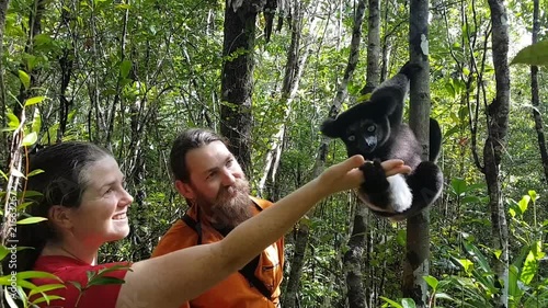 Tourist couple in Madagascar woman feeds an indri lemur on a tree photo