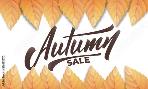 Autumn sale. Autumn background layout with fall leves and hand lettering. Fall sale, promotion, banner