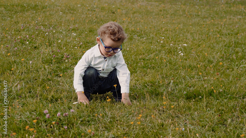 child in glasses on the grass child in glasses on the grass