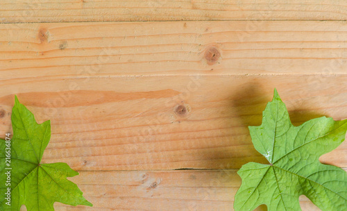 Agarwood leaves on wooden texture with text space. photo