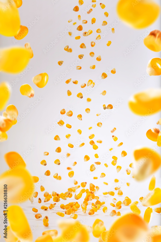 Stop motion corn grains splash or falling flying from the air on the ...