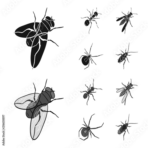 An insect arthropod, an osa, a spider, a cockroach. Insects set collection icons in black,monochrome style vector symbol stock isometric illustration web.