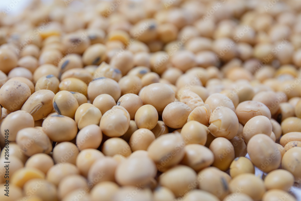 Macro view of natural organic kidney soya beans on background Macro view of natural organic kidney soya beans on background